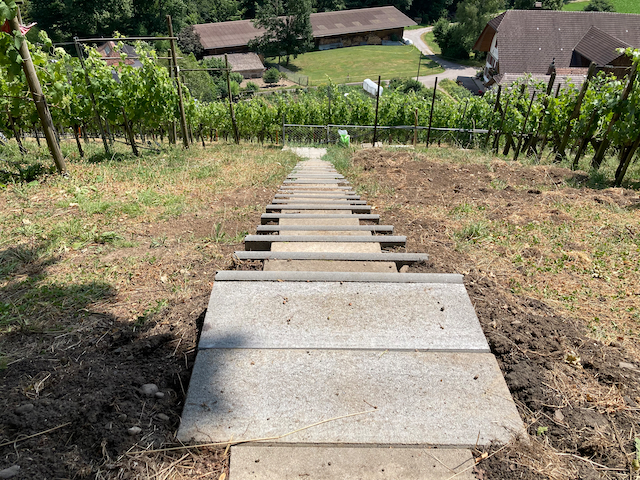 Auf der «Himmelsleiter» sicher den Hang rauf und runter