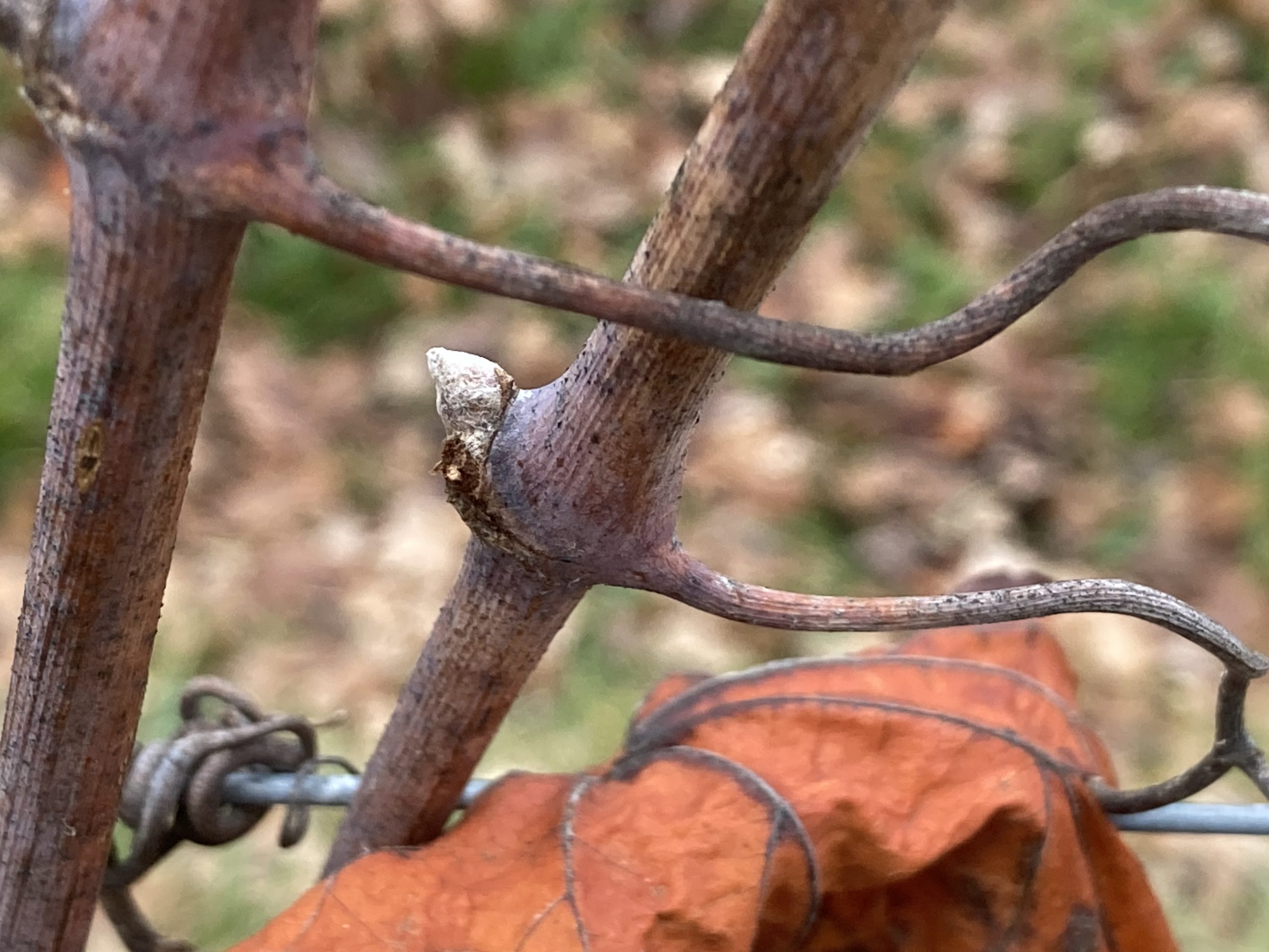 Neujahrsgruss aus der Verwaltung
